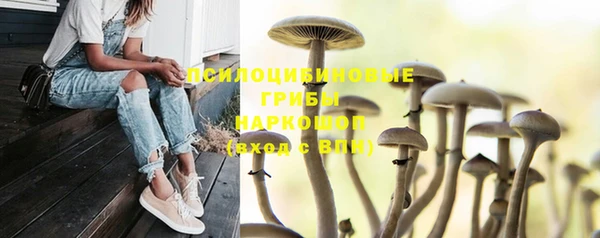 дживик Аркадак
