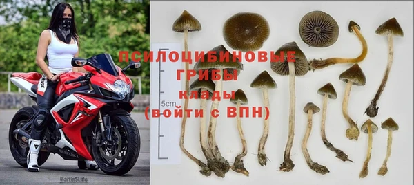 дмт Балабаново