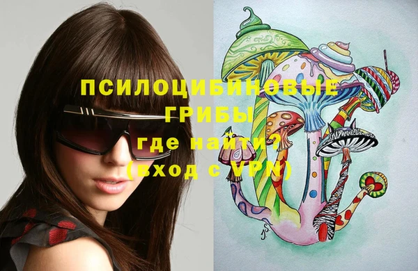 спайс Баксан